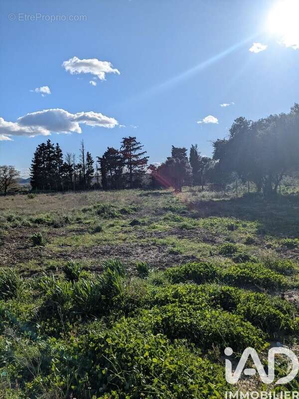 Photo 3 - Terrain à CASTILLON-DU-GARD