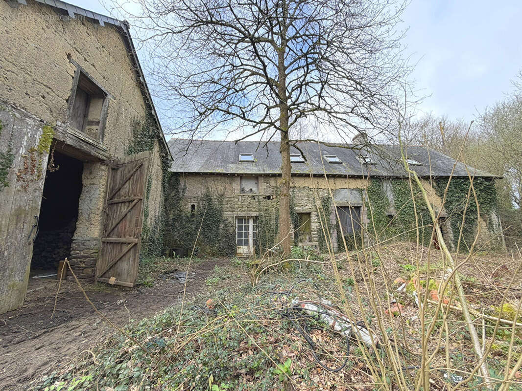 Maison à ORGERES