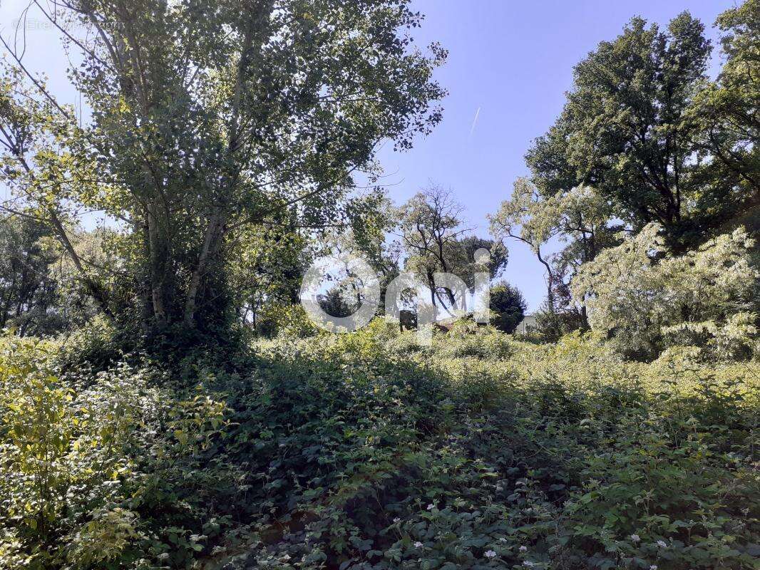 Terrain à BRIGNAC-LA-PLAINE