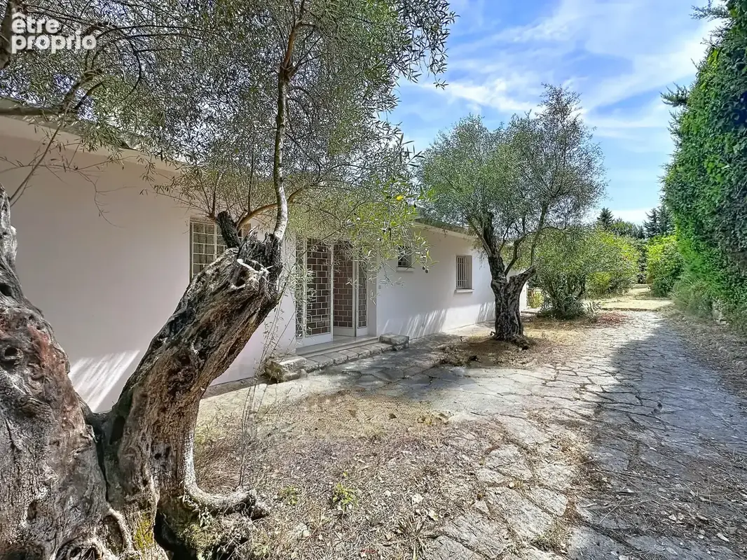 Vence   Californienne, Vue Mer & Potentiel - photo 12