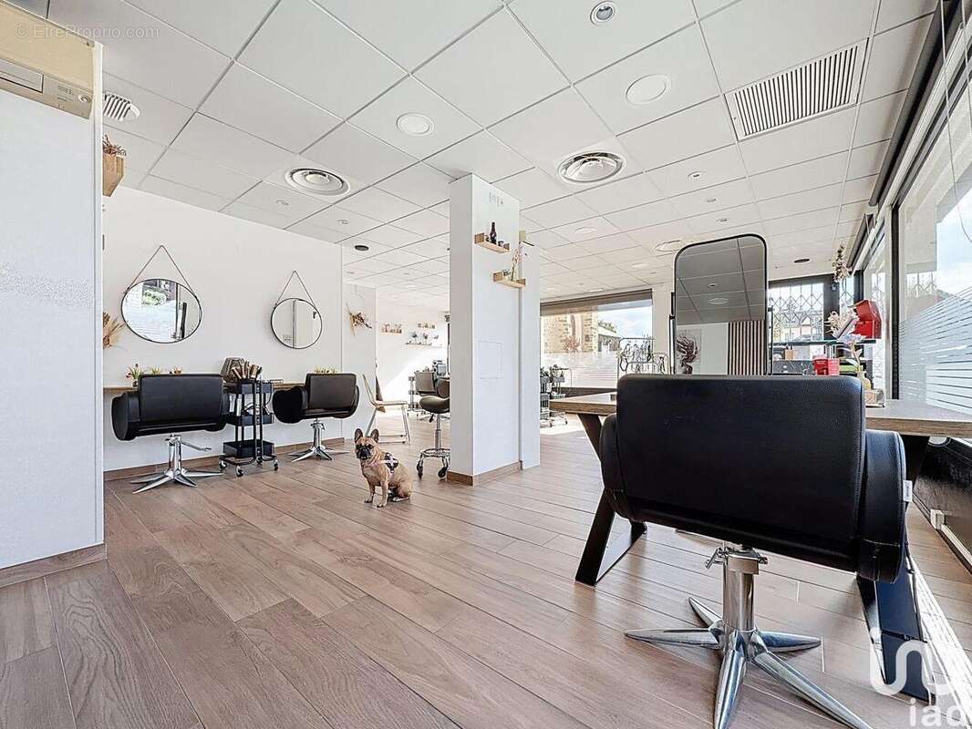 Photo 5 - Commerce à NOZAY