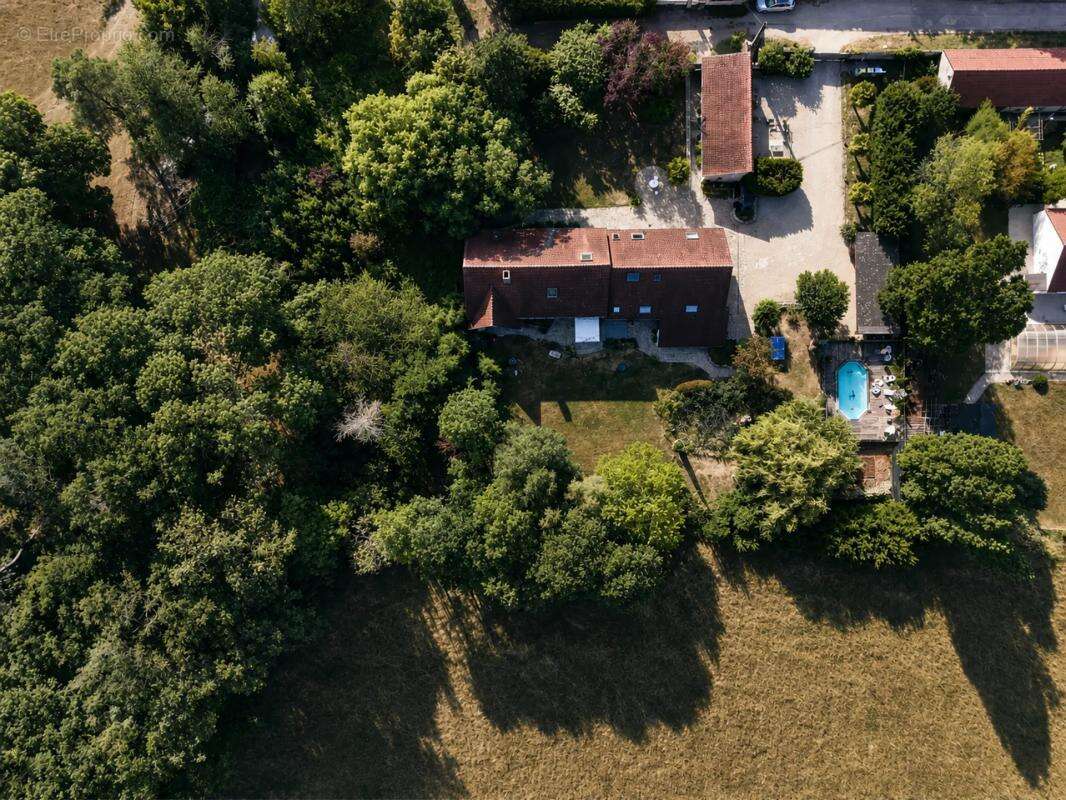Cette propriété d'exception de 450 m² - photo 19