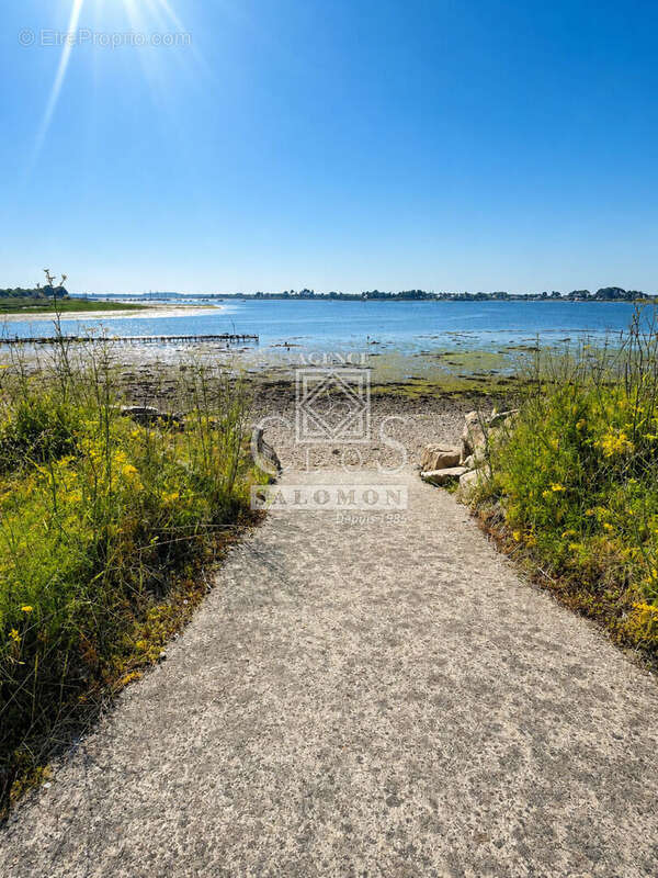 Propriété avec vue - photo 11