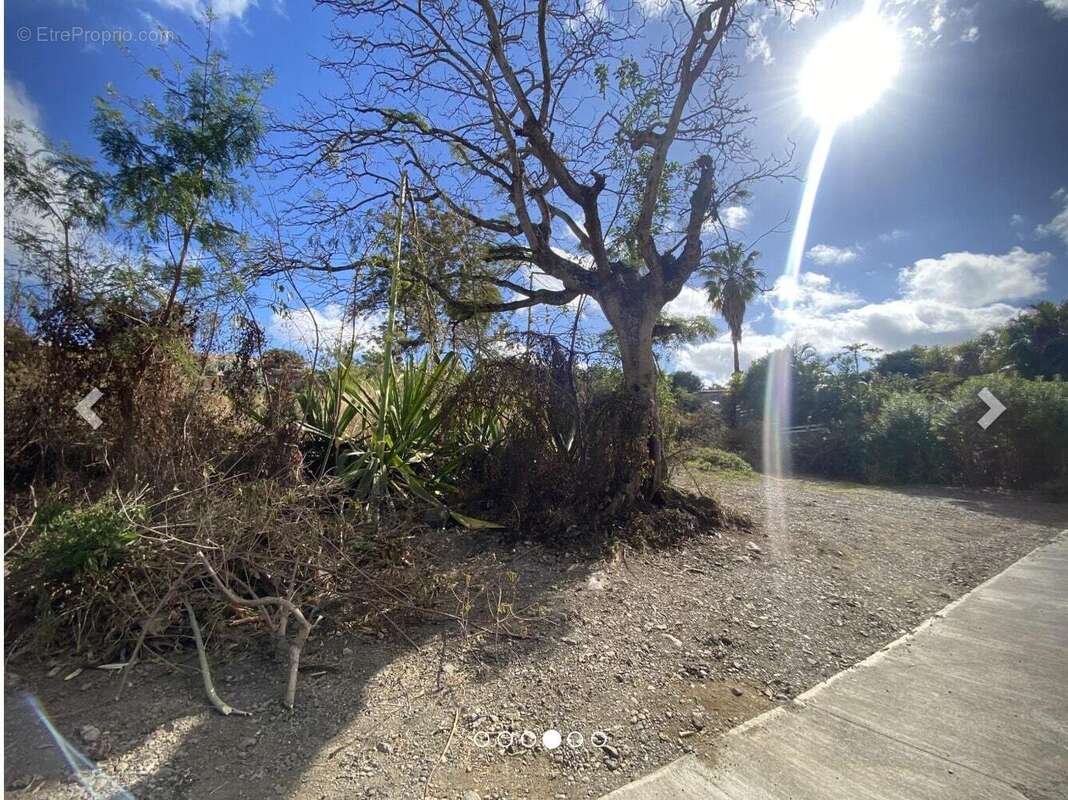 Terrain à SAINT-PAUL