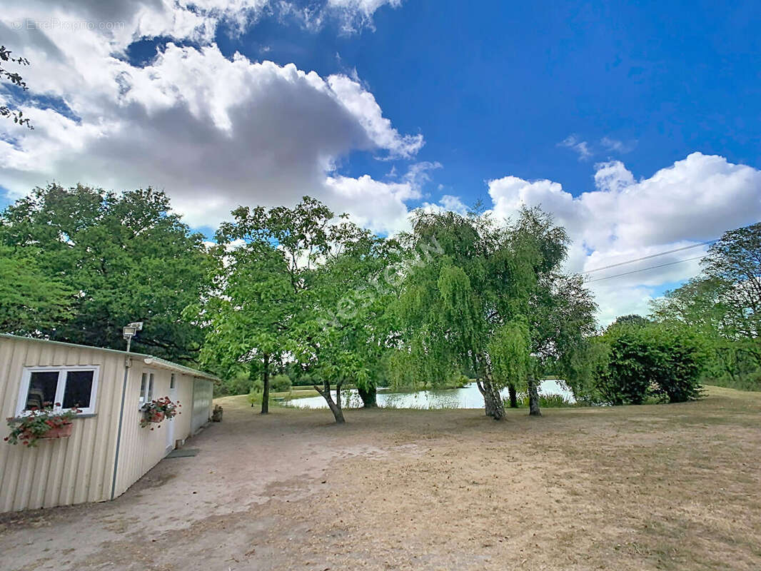 Rare sur le secteur ? Magnifique terrain de loisirs de plus de 2 hectares avec étang ! - photo 5