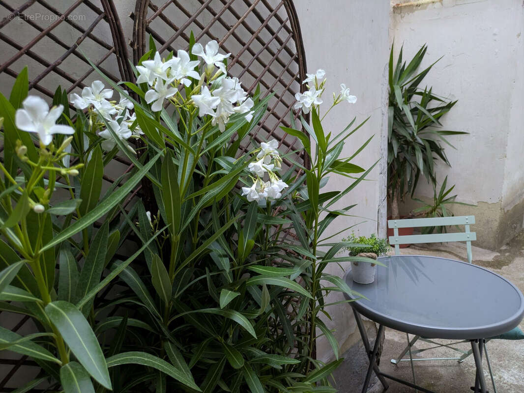 Appartement 26 m² à Paris-16e  - photo 5