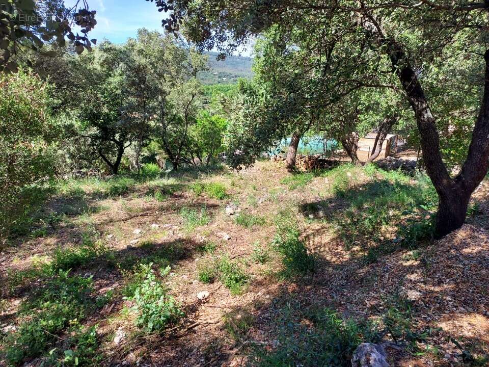 Terrain 950 m² à Sainte-Anastasie-Sur-Issole  - photo 4