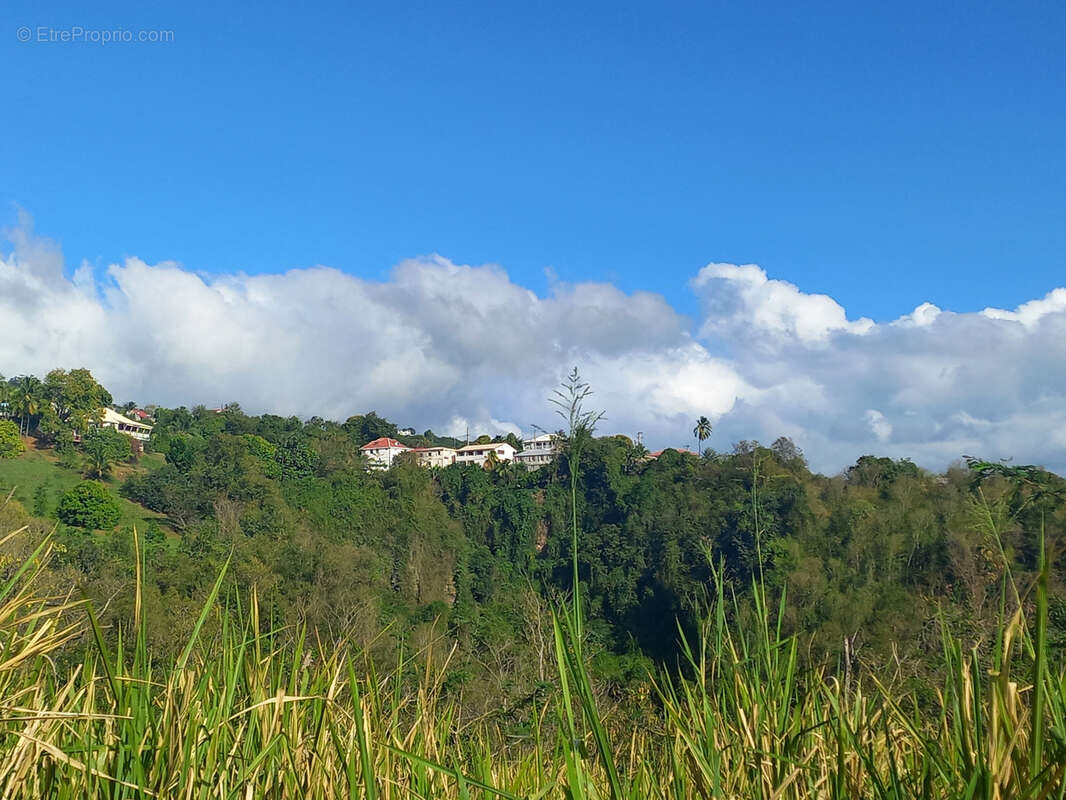 Terrain à VIEUX-HABITANTS