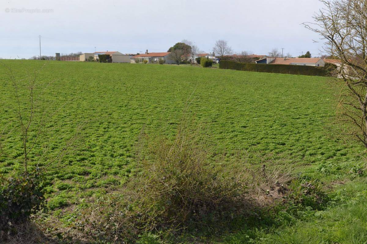 Terrain à LOIRE-LES-MARAIS
