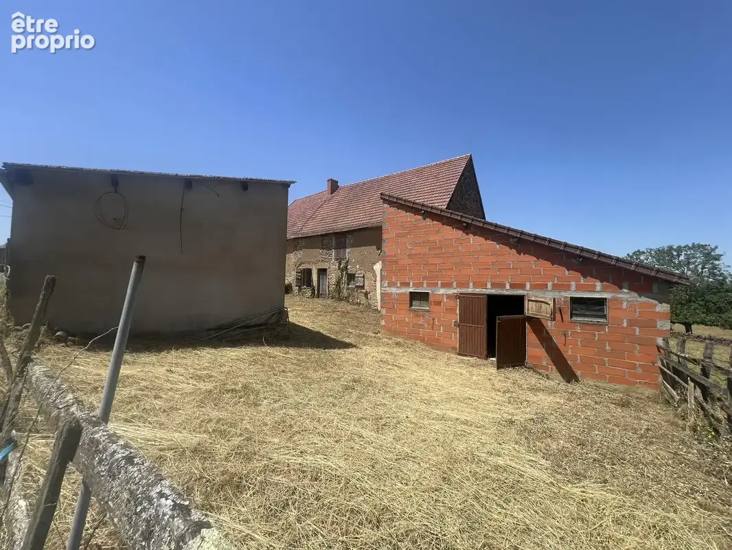 n°11