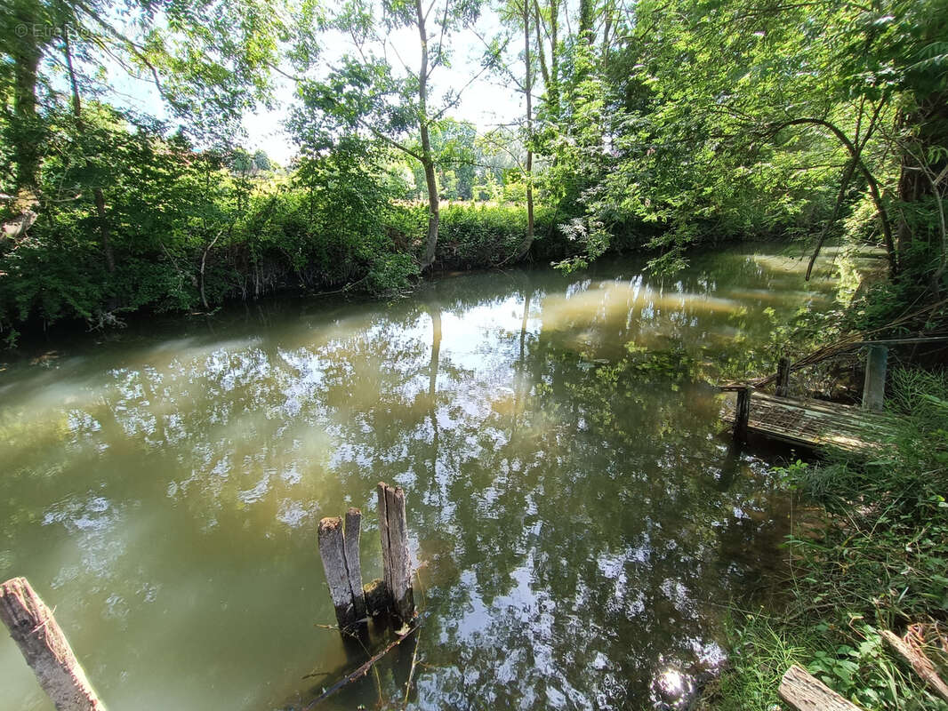 Maison à SANCERGUES