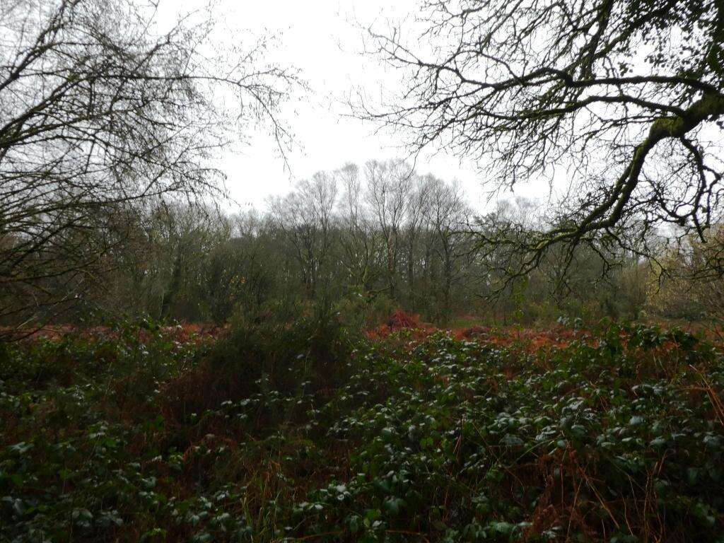 Terrain à SAINT-TUGDUAL