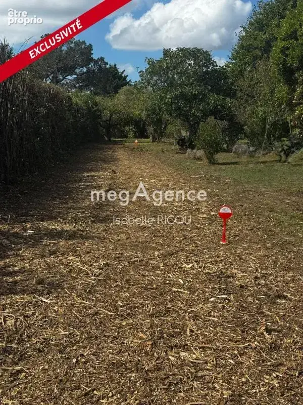 Dolus d'oleron (17550), terrain a batir de 721m² - photo 5