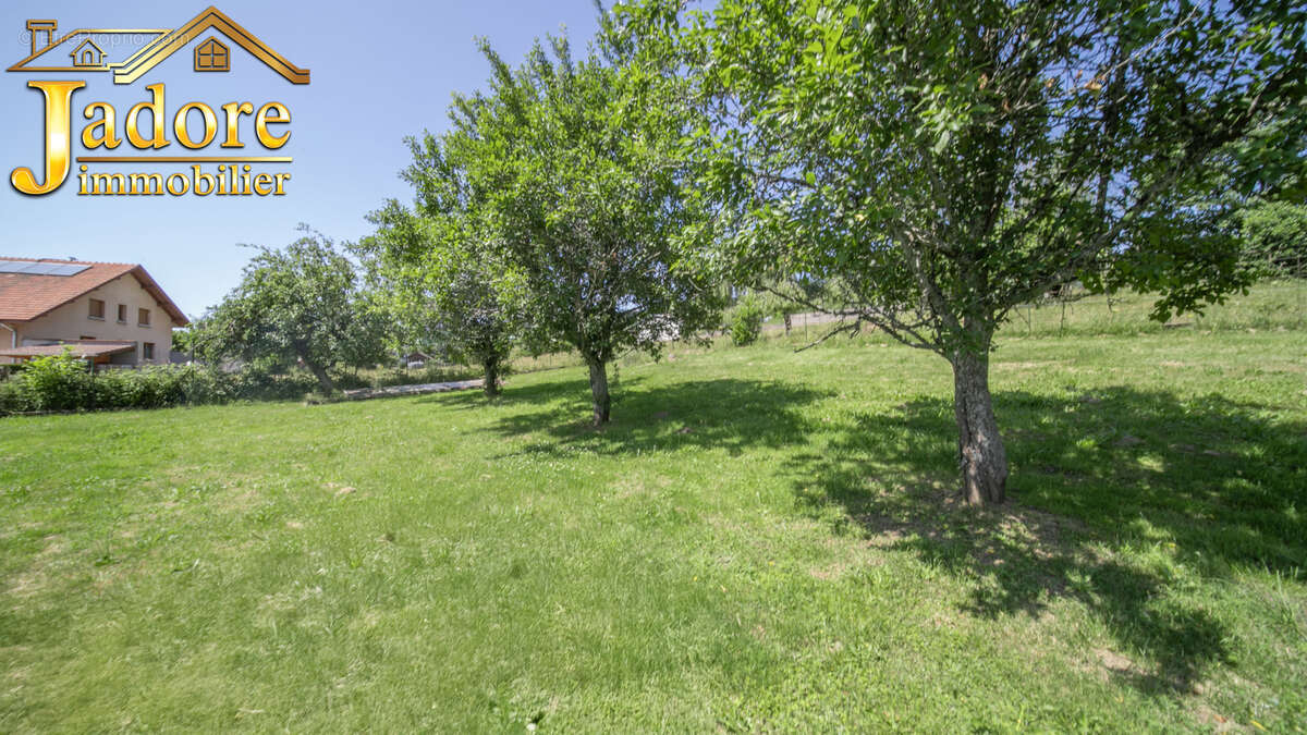 Immeuble + garages cadre nature !! - photo 5