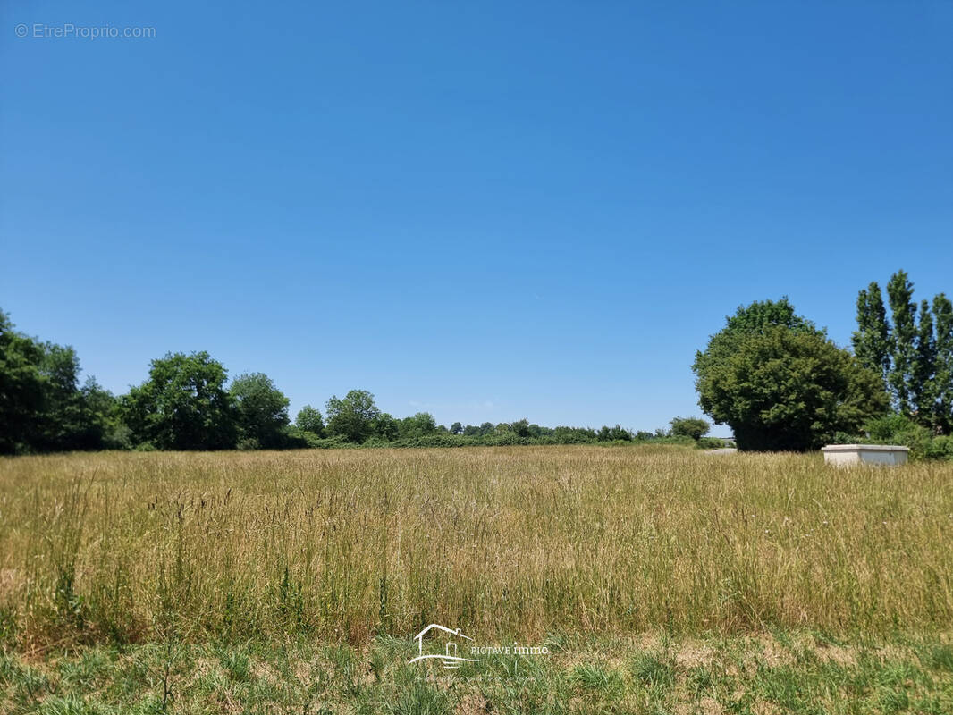 Terrain à SANXAY