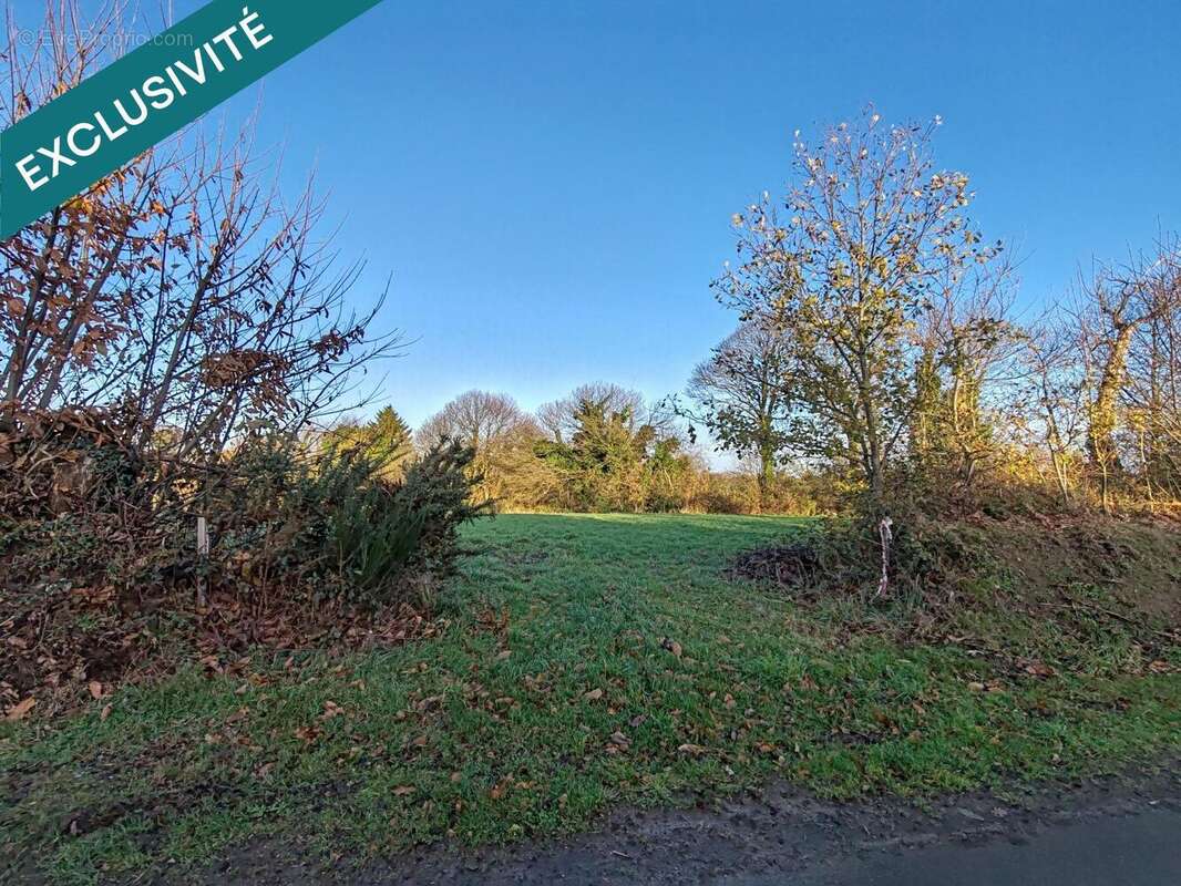 Photo 8 - Terrain à FOUGEROLLES-DU-PLESSIS