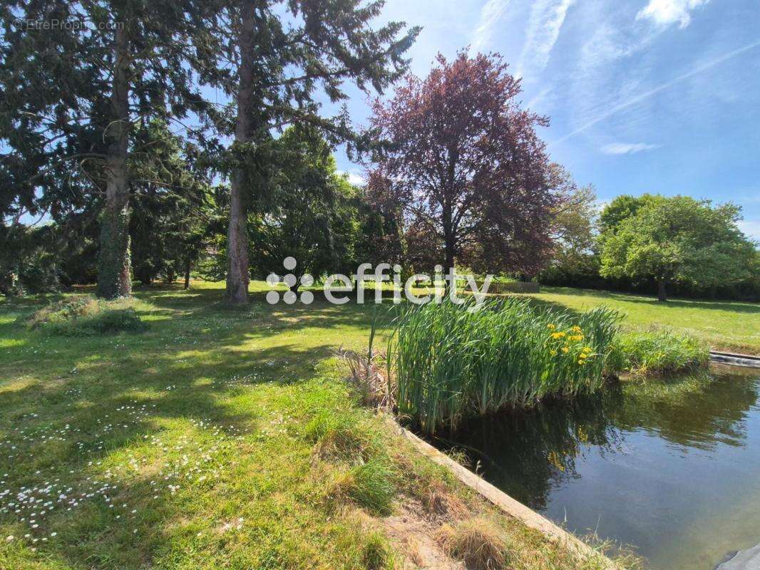 Maison 199 m² à Chedigny  - photo 19
