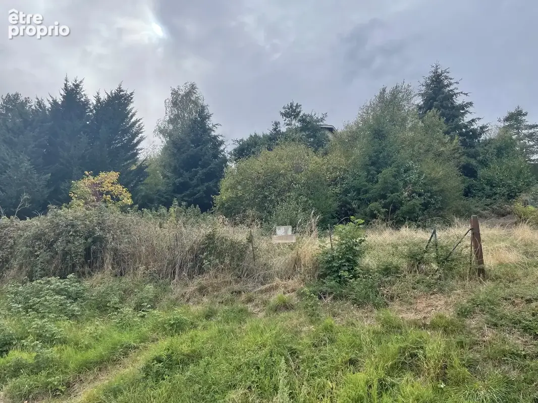 Photo Terrain à Saint-Didier-En-Velay au prix de 48 000€