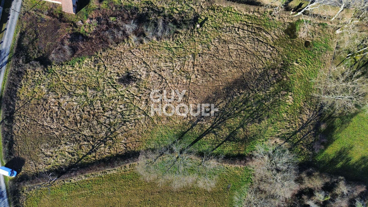 Terrain à LA NOCLE-MAULAIX