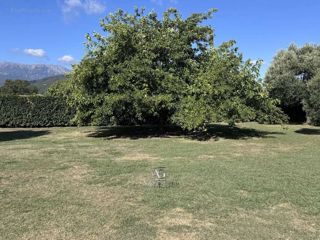 Terrain à PRUNELLI-DI-FIUMORBO