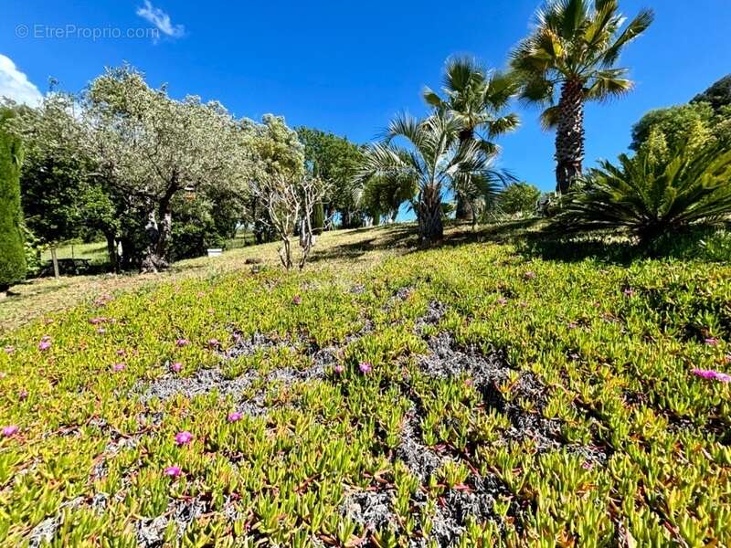 Dpt Var (83), à vendre FREJUS Tour de mare, maison P6 de 156 m² - Terrain de 1790 m² - photo 5