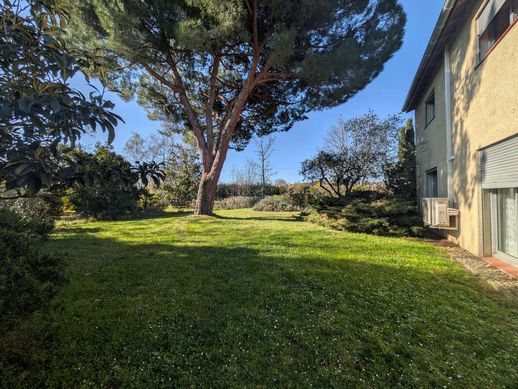 Maison à VILLENEUVE-TOLOSANE