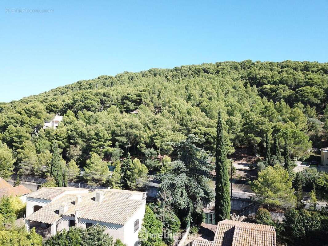 Vue sur la forêt du mont St clair