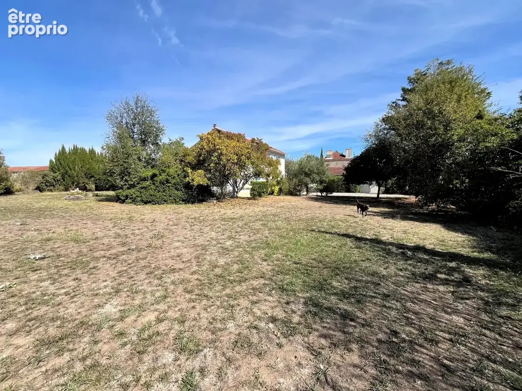 Maison 257m², 5 chambres, 3249m² de terrain, grande dépendance - photo 24