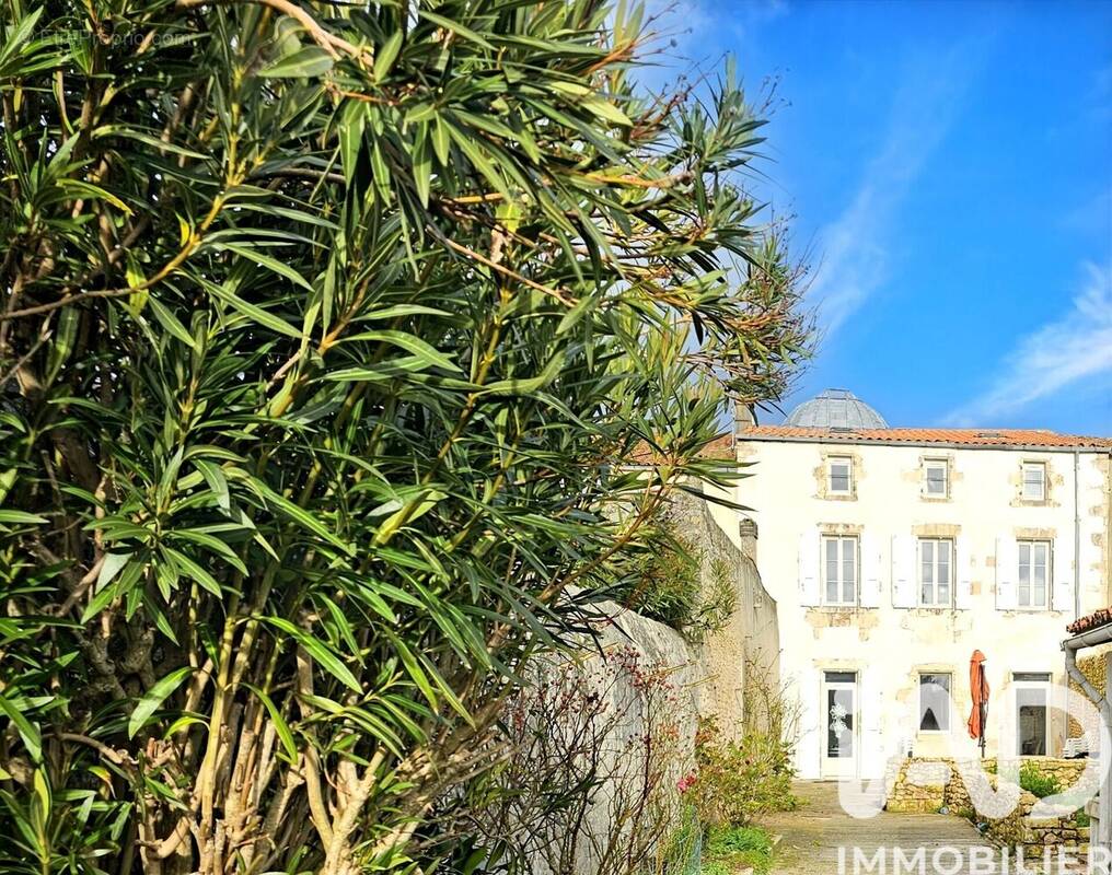 Photo 1 - Maison à MARENNES