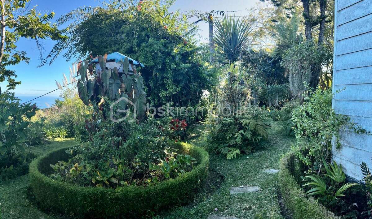 Belle maison située au Guillaume Saint Paul - photo 20
