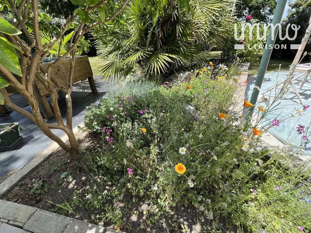 Maison à NORT-SUR-ERDRE