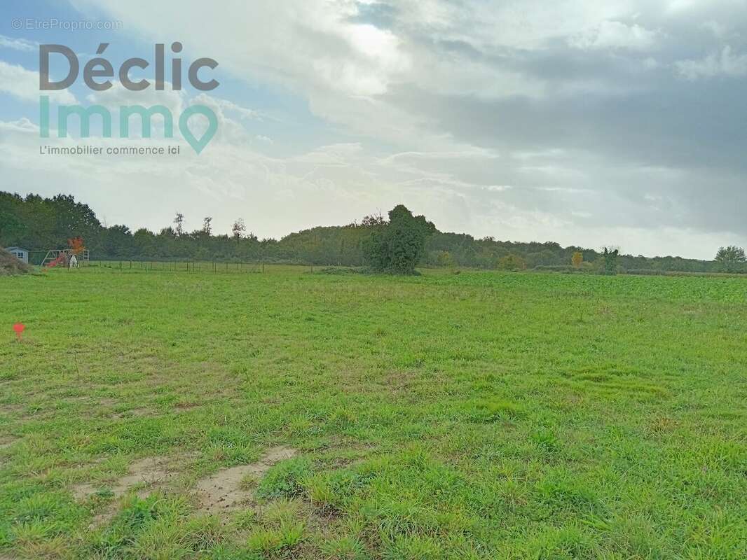 Terrain à TAILLEBOURG