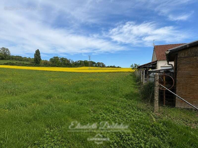 Terrain à vendre de 1 468,00 m² LARBROYE (60) - photo 5