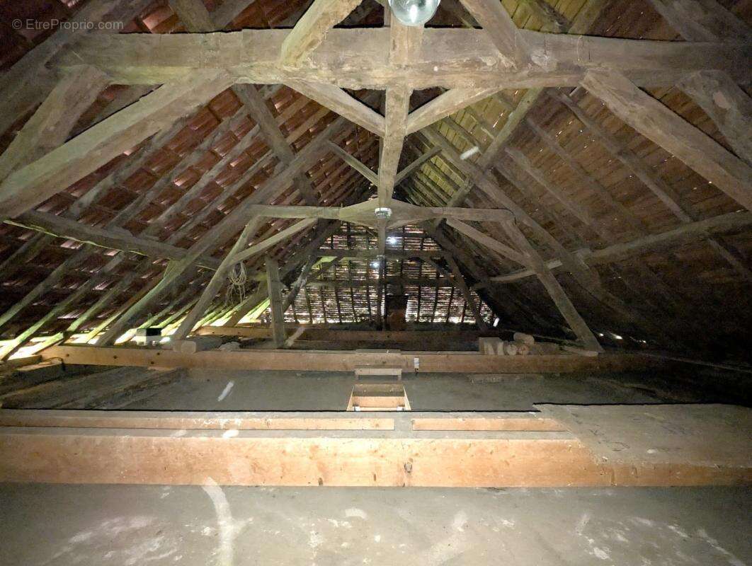 Maison 306 m² - 3 logements + 3 garages - Chassigny-sous-Dun (71) - photo 19