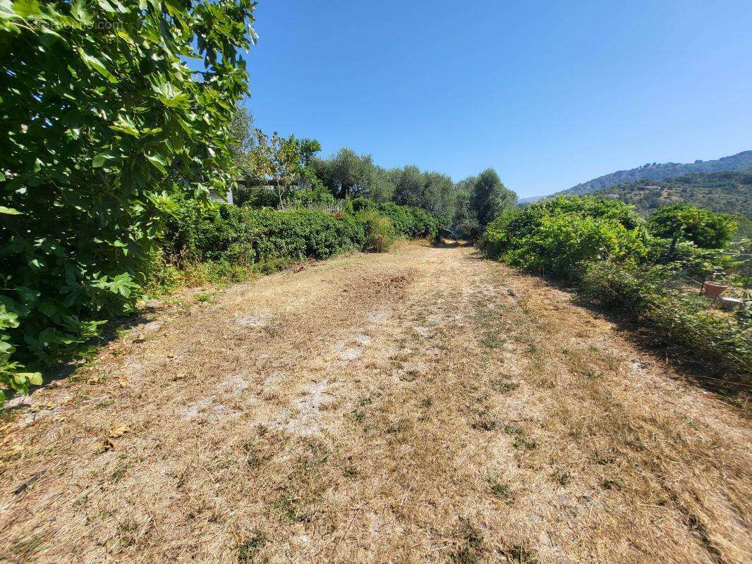 Terrain 3964 m² à La Trinite  - photo 9