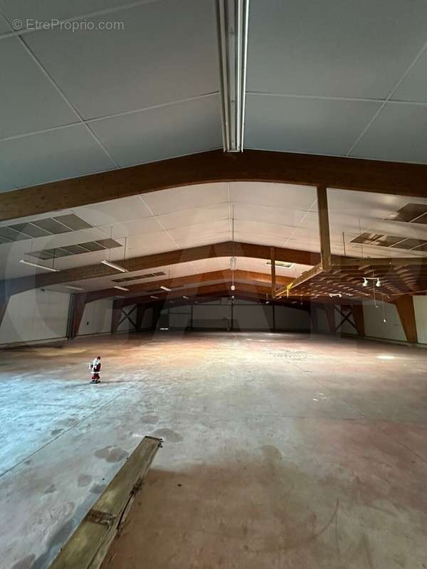 Autre à BELLE-ISLE-EN-TERRE