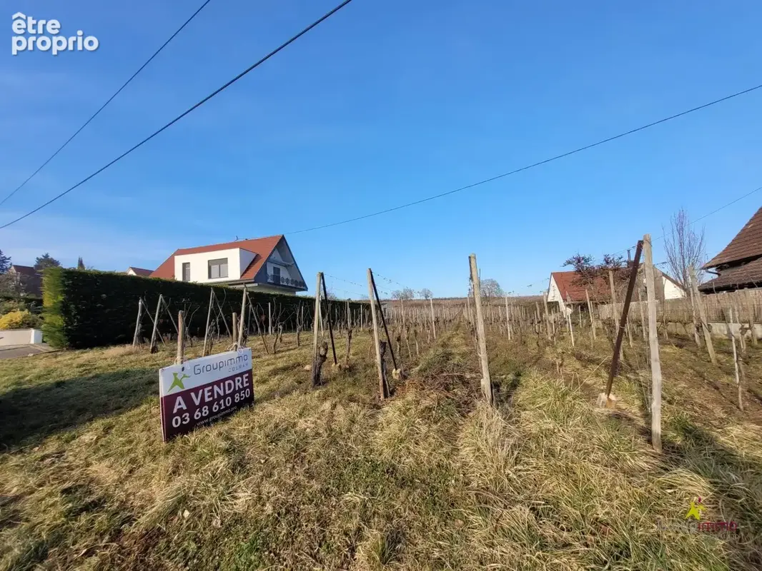 Photo Terrain à Obermorschwihr au prix de 221 139€