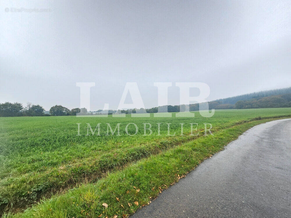 Terrain à RAVIGNY