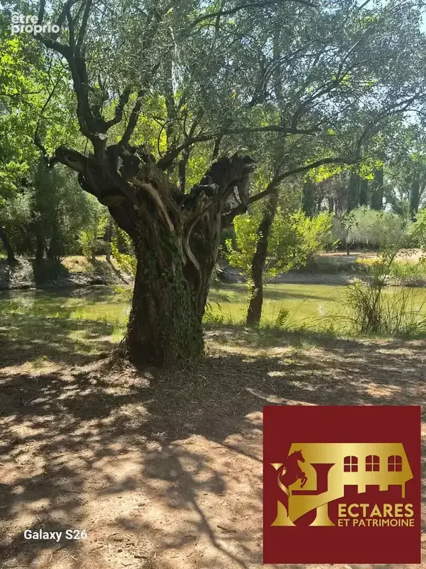 Propriété de charme sur 1ha de terrain au calme absolu sans être isolé - photo 12