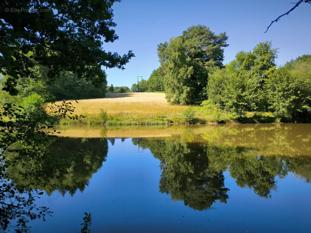 Terrain à SAINT-YRIEIX-LA-PERCHE