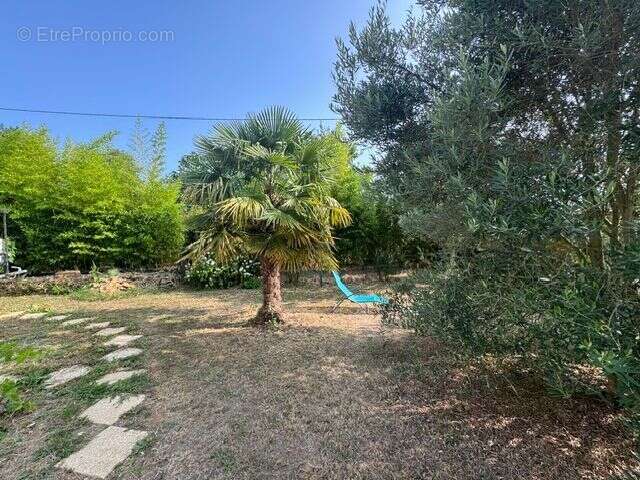 Maison À Vendre - photo 3
