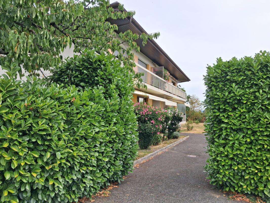Appartement À Vendre - photo 7