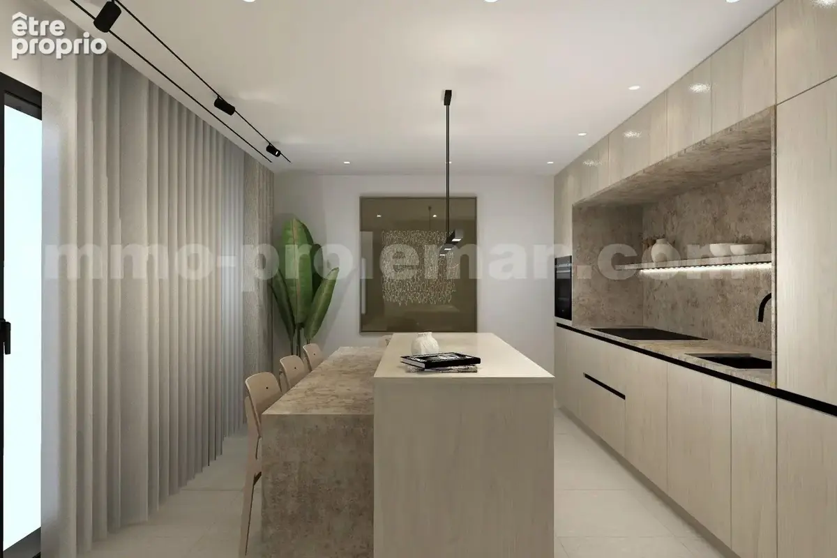 Appartement_T4_DOUVAINE_HYPER-CENTRE_CEVA_frontière_SUISSE_Geneve_IMMOBILLIER_DOUVAINE_cuisine