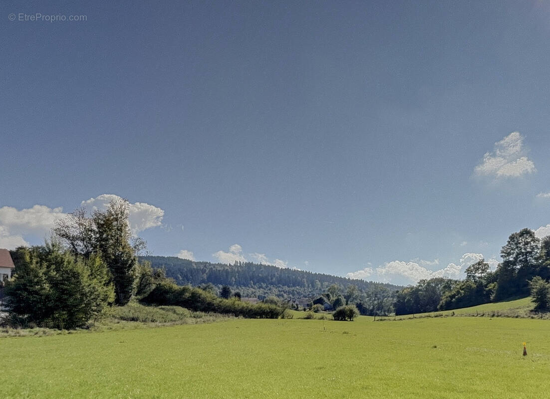 Terrain à DAMPRICHARD