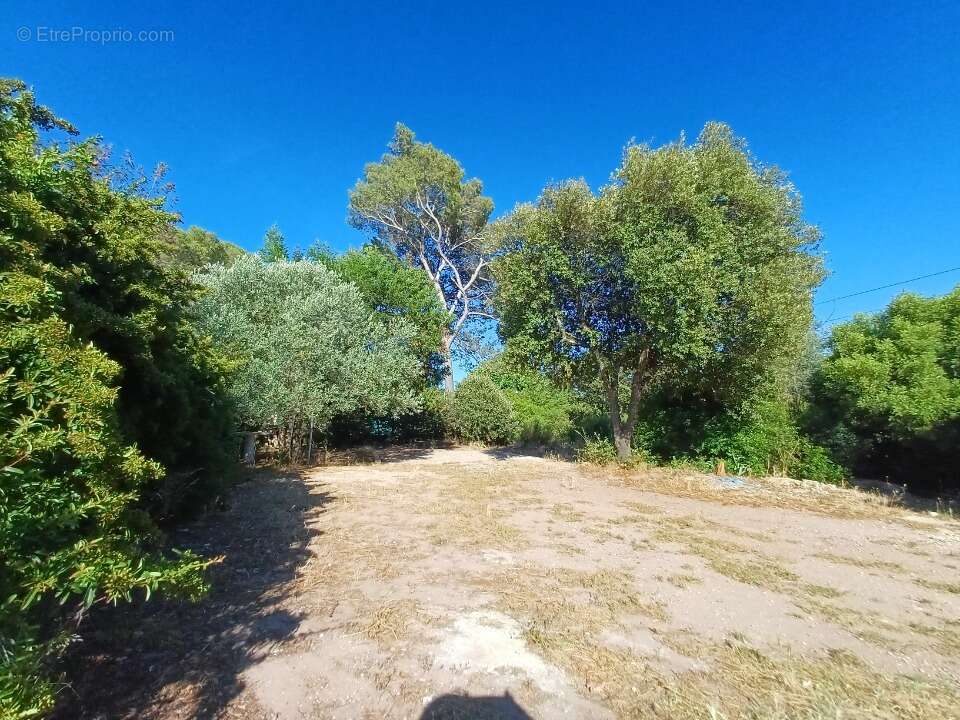 Terrain 428 m² à Pierrefeu-Du-Var  - photo 4
