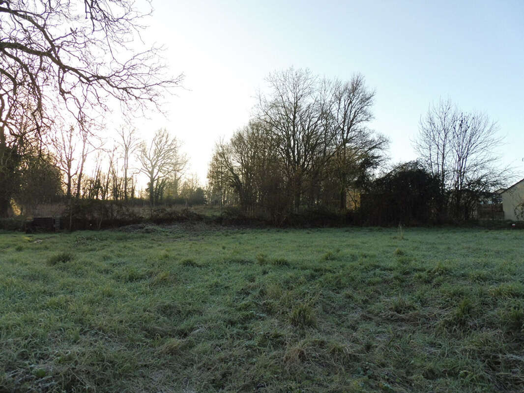 Terrain à AZAY-LE-BRULE