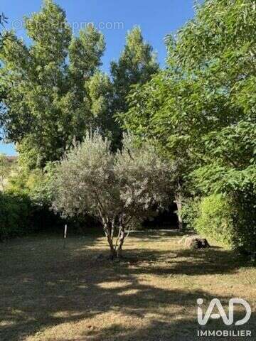 Photo 2 - Maison à CARPENTRAS