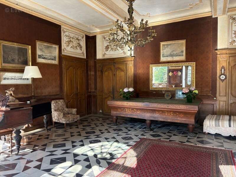 Gers(32), TRES BEAU CHATEAU DE FAMILLE 45HA avec dependances, un peu caché, en position dominante, une belle histoire - photo 37