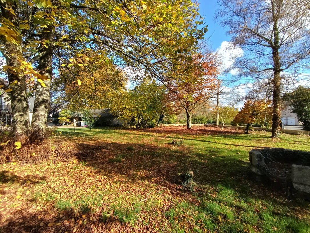Terrain à THORIGNE-FOUILLARD