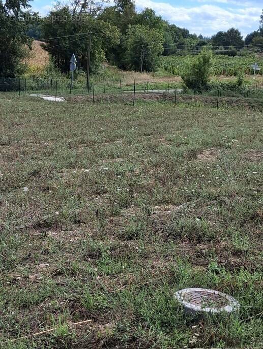 Terrain à MONESTIER